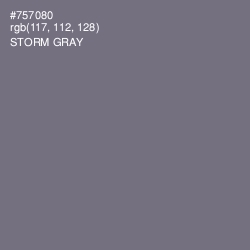 #757080 - Storm Gray Color Image