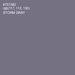 #757082 - Storm Gray Color Image