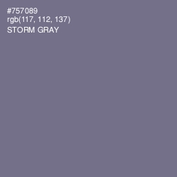 #757089 - Storm Gray Color Image