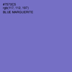 #7570C5 - Blue Marguerite Color Image