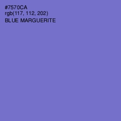 #7570CA - Blue Marguerite Color Image