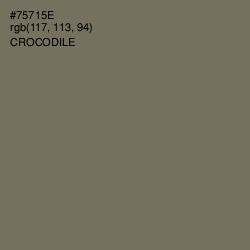 #75715E - Crocodile Color Image