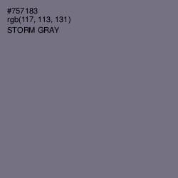 #757183 - Storm Gray Color Image