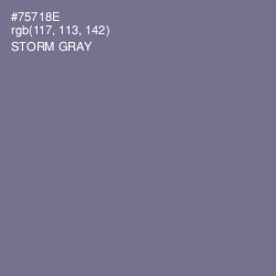 #75718E - Storm Gray Color Image