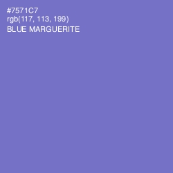 #7571C7 - Blue Marguerite Color Image