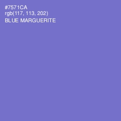 #7571CA - Blue Marguerite Color Image