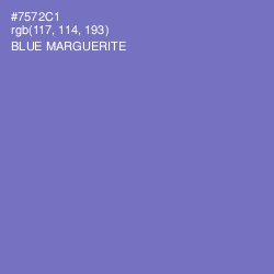 #7572C1 - Blue Marguerite Color Image