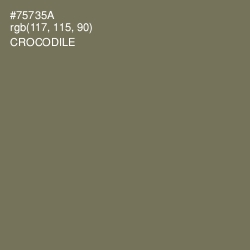 #75735A - Crocodile Color Image