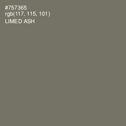 #757365 - Limed Ash Color Image