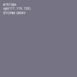 #757384 - Storm Gray Color Image