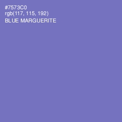 #7573C0 - Blue Marguerite Color Image