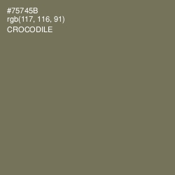 #75745B - Crocodile Color Image