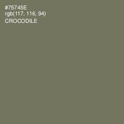 #75745E - Crocodile Color Image