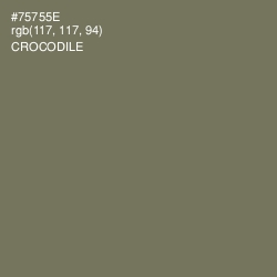 #75755E - Crocodile Color Image
