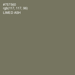 #757560 - Limed Ash Color Image