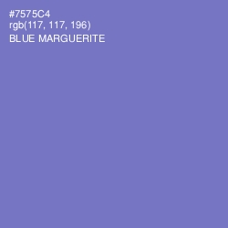 #7575C4 - Blue Marguerite Color Image