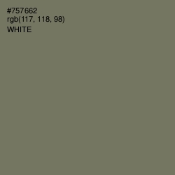 #757662 - Limed Ash Color Image