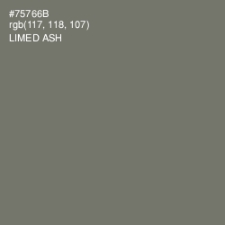 #75766B - Limed Ash Color Image