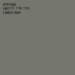 #75766E - Limed Ash Color Image