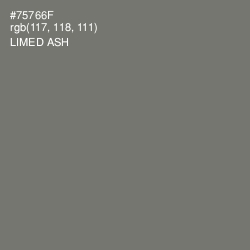 #75766F - Limed Ash Color Image