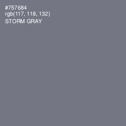 #757684 - Storm Gray Color Image