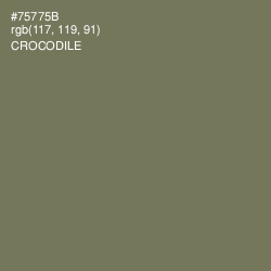 #75775B - Crocodile Color Image