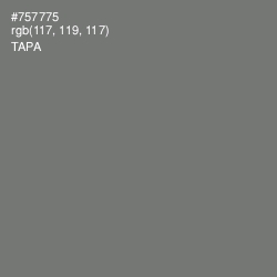 #757775 - Tapa Color Image