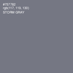 #757782 - Storm Gray Color Image