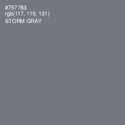 #757783 - Storm Gray Color Image