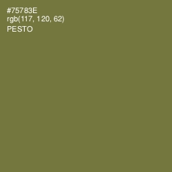 #75783E - Pesto Color Image