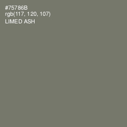 #75786B - Limed Ash Color Image
