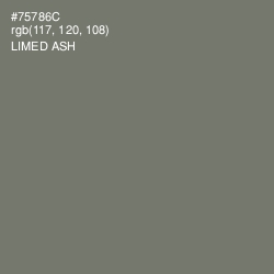 #75786C - Limed Ash Color Image