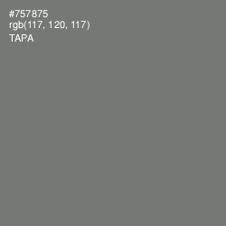 #757875 - Tapa Color Image