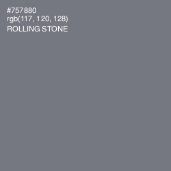 #757880 - Rolling Stone Color Image