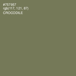 #757957 - Crocodile Color Image