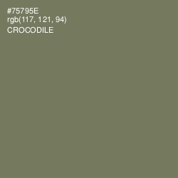 #75795E - Crocodile Color Image