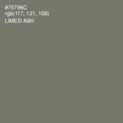 #75796C - Limed Ash Color Image