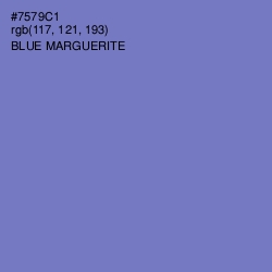 #7579C1 - Blue Marguerite Color Image