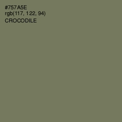 #757A5E - Crocodile Color Image