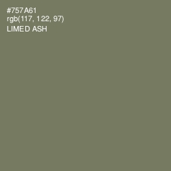 #757A61 - Limed Ash Color Image