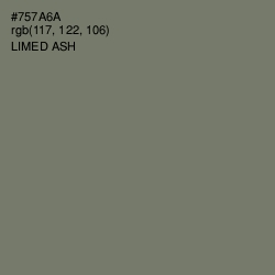 #757A6A - Limed Ash Color Image