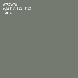 #757A70 - Tapa Color Image