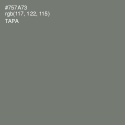 #757A73 - Tapa Color Image