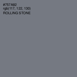 #757A82 - Rolling Stone Color Image