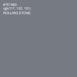 #757A83 - Rolling Stone Color Image