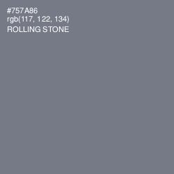 #757A86 - Rolling Stone Color Image