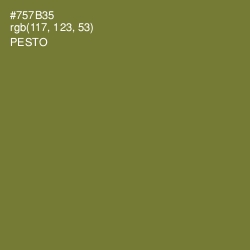 #757B35 - Pesto Color Image