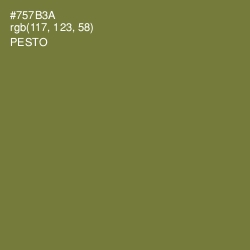 #757B3A - Pesto Color Image