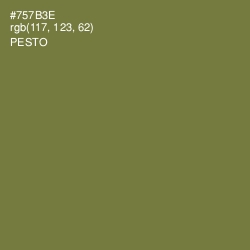 #757B3E - Pesto Color Image