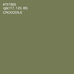 #757B55 - Crocodile Color Image